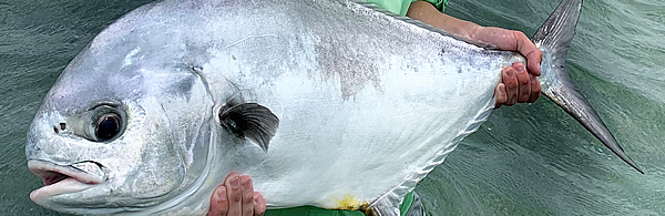 a permit in hand