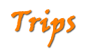 trips page title Trips page title